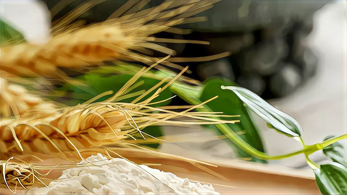 Замена пшеничной муки: 5 здоровых альтернатив для вашего стола