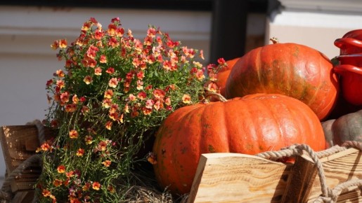 �����: �������� ��� �������� ������� ���