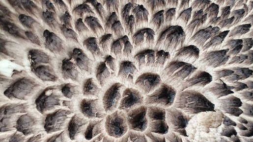 ��������� ���� � ���������� ������� ������ �������������� � ����������