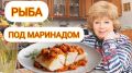 ������ ��� ���������: ���������� �������� � ����������� �������������