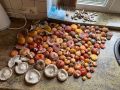 С грибных просторов: как солить волнушки и наслаждаться деликатесом